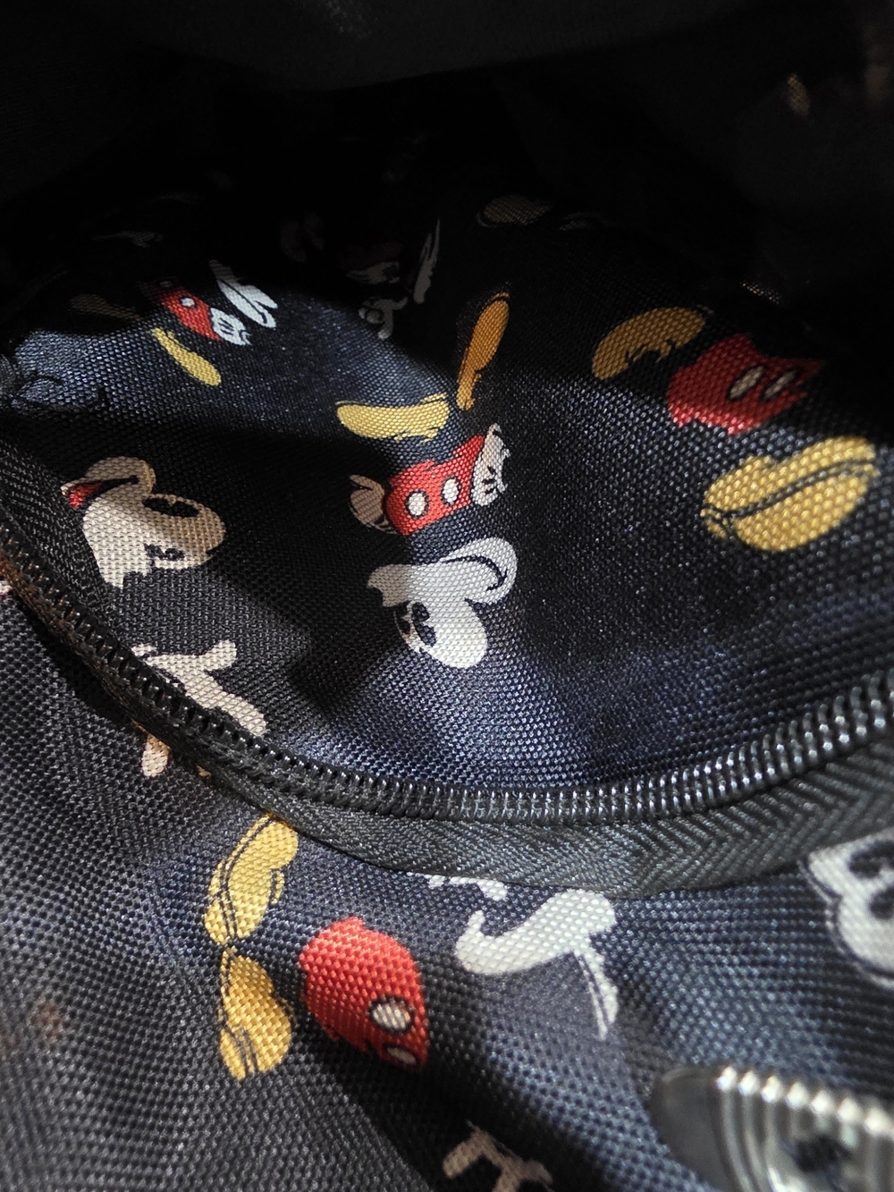 Disneyland Resort Black Mickey Pattern Backpack - Picture 13 of 14